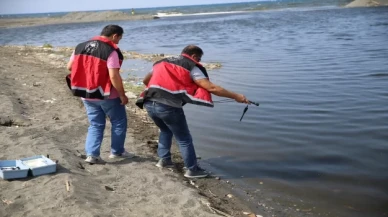 Hatay’da balık ölümleri görülmesi üzerine inceleme başlatıldı