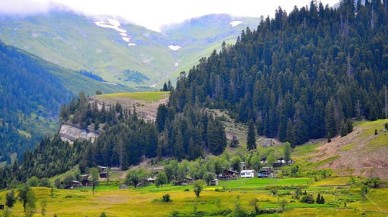 Artvin’de tarıma sondaj vuracaklar 