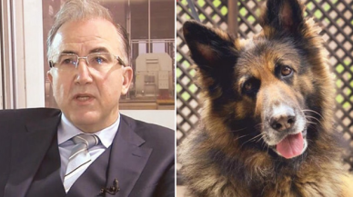 Komşusunun köpeğini öldüren Alp Erkin, yine mahkemelik oldu