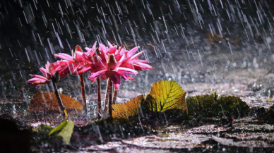 Meteoroloji duyurdu, sağanak yağışa dikkat!