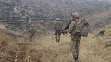 Şırnak ve Hakkari'de geniş çaplı operasyon