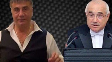 Cemil Çiçek'ten Sedat Peker'in iddialarına ilişkin açıklama