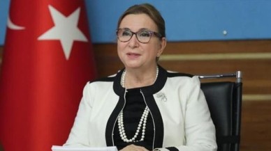 Elif Çakır sordu: Cumhurbaşkanı Erdoğan, Pekcan’ı neden görevden aldı?