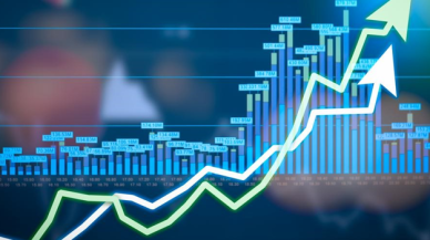 Finans Enstitüsü dolar tahminini yükseltti