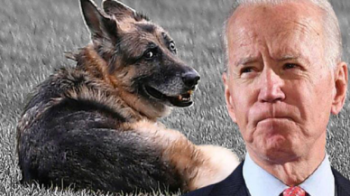 ABD Başkanı Biden, köpeğinin ölümünü duyurdu