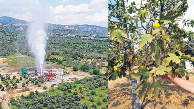 Aydın’ın müsilajı JES’ler