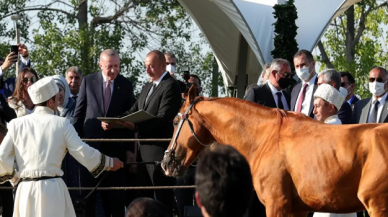 Erdoğan, Aliyev'le Şuşa'da at yarışı izledi