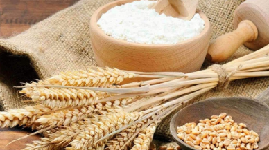 Makarna, bulgur ve buğday ihracı kayda bağlandı