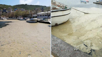 "Marmara Denizi'ndeki kirlilik, bulaşıcı hastalıklara yol açabilir"