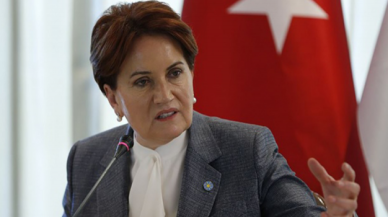 Meral Akşener'den Erdoğan'a "Söke söke alırlar" cevabı! Yabancı şirketlere seslendi