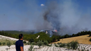 Manisa'daki orman yangınları kontrol altına alındı