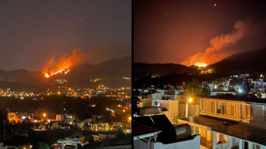 Bodrum Gümüşlük'te otluk ve sazlık alanda yangın