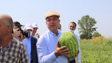 Ekrem İmamoğlu kasketini taktı, yılın ilk hasadını yaptı