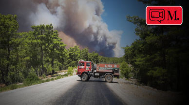 Manavgat'ta orman yangını yerleşim yerlerine sıçradı