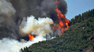 Muğla'da çıkan yangınla ilgili gözaltına alınan zanlı tutuklandı