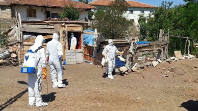 Tokat'ta kuş gribi şüphesi: 200 hayvan itlaf edildi