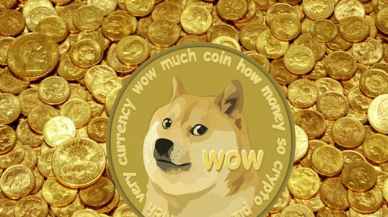 1 Milyar TL Dogecoin ile kayıplara karıştı!