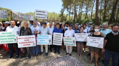 Akbelen ormanları için  Kıyı Ege desteği