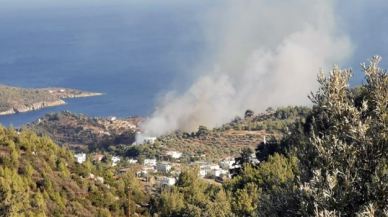 Bodrum'da orman yangını!