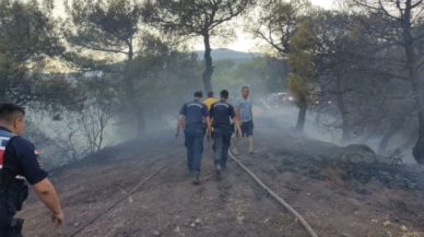 Hatay'da orman yangını!