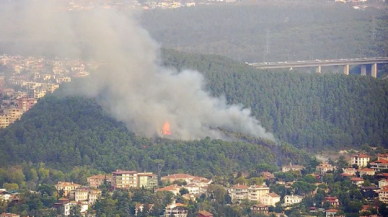 İstanbul Beykoz'da ormanlık alanda yangın!