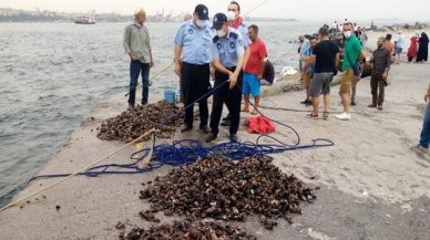 İstanbul'da kaçak yollarla avlanan yarım ton midye denize bırakıldı