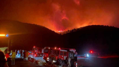 Milas’ta başlayan yangın Bodrum’a sıçradı: Mazı için tahliye kararı