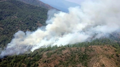 Muğla Köyceğiz'de orman yangını başladı