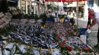 Balık tezgahlarında "hamsi ve istavrit" bolluğu!