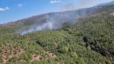 Balıkesir'de ormanlık alanda çıkan yangın kontrol altına alındı