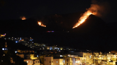 Bodrum'da makilik alanda yangın çıktı, tarım arazilerine sıçradı!