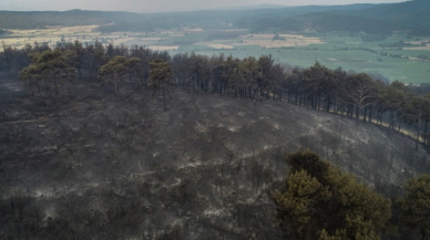 Çanakkale Valiliği, "ormanlara giriş yasağı"nın uzatıldığını açıkladı