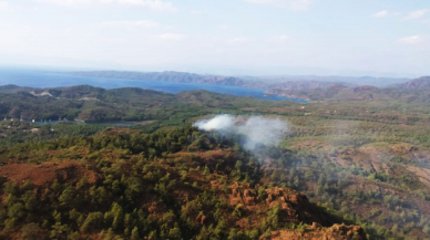 Muğla Marmaris'te orman yangını!