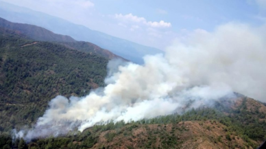 Muğla'daki orman yangını kontrol altına alındı!