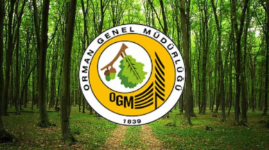 OGM: Bugün çıkan 8 orman yangını kontrol altına alındı