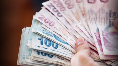 Hazine 4,3 milyar lira borçlandı