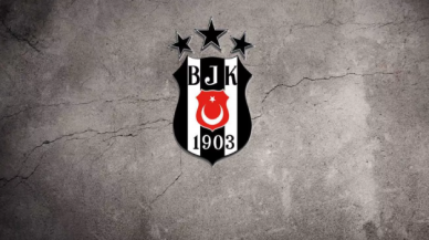 Beşiktaş'ta idari ve mali genel kurul zamanı