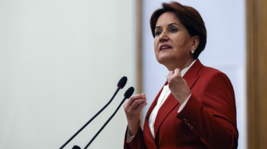 Meral Akşener'den Erdoğan'a: Ülkeyi yangın yerine çevirdin