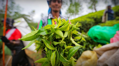 Sri Lanka, İran’a olan petrol borcunu çayla ödeyecek