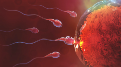 Hava Kirliliği Sperm Kalitesini Olumsuz Etkiliyor