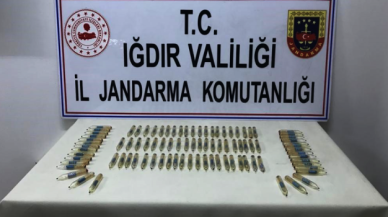 Iğdır'da jandarma 92 tüp yılan zehri ele geçirdi