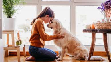 Köpekler sahiplerini yalnızca sesini duyarak da tanıyabiliyor