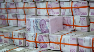 Hazine 8,3 milyar lira borçlandı