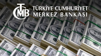 Merkez Bankası'nın brüt rezervleri 2 milyar dolar azaldı