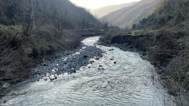 Sakarya'da son yağışlar göl ve nehirlere yaradı