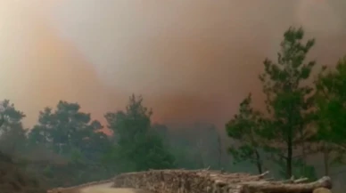 Çanakkale'de çıkan orman yangınına müdahale