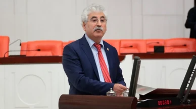 CHP'li eski vekile 'Cumhurbaşkanına hakaretten' 11 ay 20 gün hapis cezası geldi