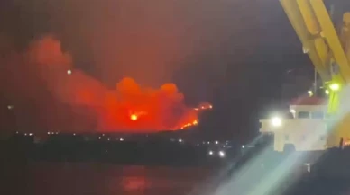 Hatay'daki orman yangınında yüksek gerilim hatları patladı!