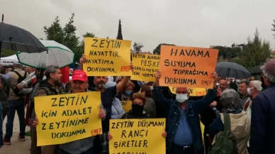 Muğla Milas'ta 'Zeytin hayattır, hayatıma dokunma' mitingi düzenlendi