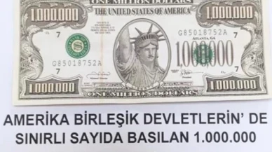 Van'da bulunan 1 milyon dolarlık banknot